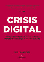 Crisis digital - Luís Monge Malo