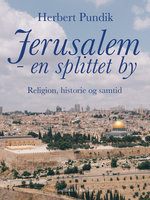 Jerusalem - en splittet by. Religion, historie og samtid - Herbert Pundik