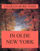 In Olde New York - Charles Burr Todd