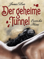 Der geheime Tunnel: Erotischer Krimi (Gay Erotic Mystery) - James Lear
