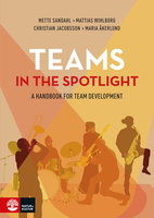 Teams in the Spotlight : A Handbook for Team Development - Maria Åkerlund, Mette Sandahl, Mattias Wihlborg, Christian Jacobsson