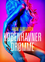 Københavnerdrømme - erotisk novelle - Terne Terkildsen