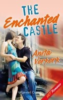 The enchanted castle - Anita Verkerk