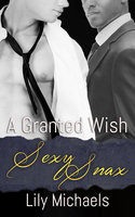 A Granted Wish - Lily Michaels