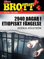 2940 dagar i etiopiskt fängelse - Henrik Högström
