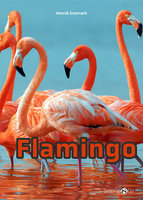 Flamingo - Henrik Enemark