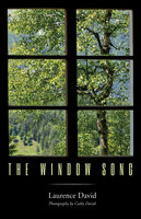 The Window Song - Laurence David