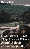 Quadrupeds, What They Are and Where Found: A Book of Zoology for Boys - Mayne Reid