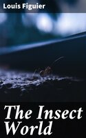 The Insect World: Being a Popular Account of the Orders of Insects; Together with a Description of the Habits and Economy of Some of the Most Interesting Species - Louis Figuier