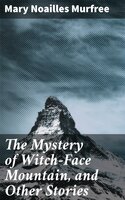 The Mystery of Witch-Face Mountain, and Other Stories - Mary Noailles Murfree
