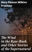 The Wind in the Rose-Bush, and Other Stories of the Supernatural - Mary Eleanor Wilkins Freeman
