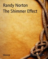 The Shimmer Effect: The Ties That Bind - Randy Norton