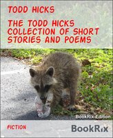 The Todd Hicks Collection of Short Stories and Poems - Todd Hicks