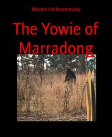 The Yowie of Marradong - Mostyn Heilmannovsky