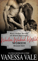 Mail Order Brides Of Slate Springs Boxed Set - Vanessa Vale