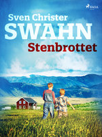 Stenbrottet - Sven Christer Swahn