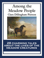 Among the Meadow People: With linked Table of Contents - Clara Dillingham Pierson