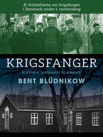 Krigsfanger. Et billeddrama om krigsfanger i Danmark under 1. verdenskrig - Bent Blüdnikow