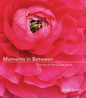 Moments in Between: The Art of the Quiet Mind - David Kundtz
