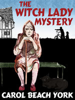 The Witch Lady Mystery - Carol Beach York