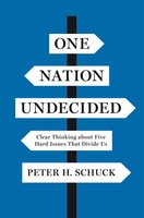One Nation Undecided: Clear Thinking about Five Hard Issues That Divide Us - Peter H. Schuck