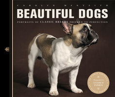 Beautiful Dogs: Portraits of champion breeds - Carolyn Menteith