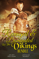 Ravaged & Dominated By The Vikings Bundle - Juliet Pellizon, Lovillia Hearst