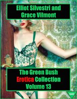 The Green Bush Erotica Collection Volume 13 - Elliot Silvestri, Grace Vilmont