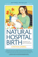 Natural Hospital Birth 2nd Edition: The Best of Both Worlds - Cynthia Gabriel