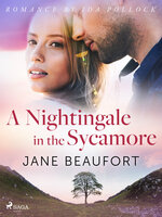 A Nightingale in the Sycamore - Jane Beaufort