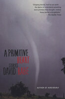 A Primitive Heart: Stories - David Rabe