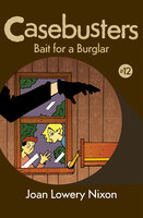 Bait for a Burglar - Joan Lowery Nixon