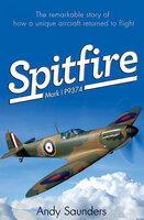 Spitfire: Mark I P9374 - Andy Saunders