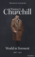 Winston S. Churchill: World in Torment, 1916–1922 - Martin Gilbert