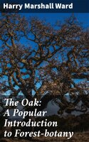 The Oak: A Popular Introduction to Forest-botany - Harry Marshall Ward