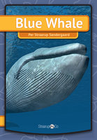 Blue Whale - Per Straarup Søndergaard