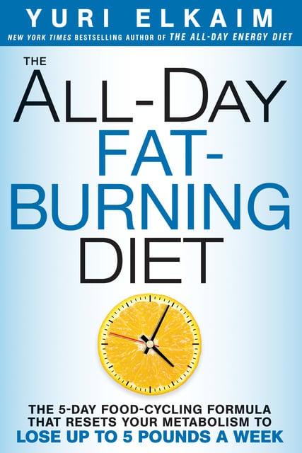 Cover for The All-Day Fat-Burning Diet