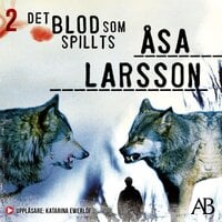 Det blod som spillts - Åsa Larsson