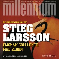 Flickan som lekte med elden - Stieg Larsson