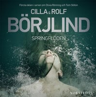 Springfloden - Rolf Börjlind, Cilla Börjlind