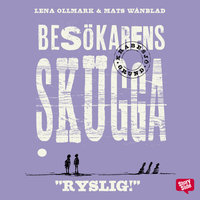 Besökarens skugga - Lena Ollmark, Mats Wänblad