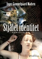 Stjålet identitet - Inger Gammelgaard Madsen