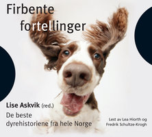 Firbente fortellinger - Lise Askvik