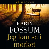Jeg kan se i mørket - Karin Fossum