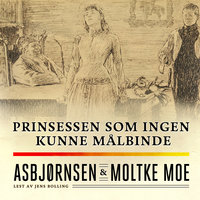 Prinsessen som ingen kunne målbinde - Jørgen Moe, Peter Christen Asbjørnsen