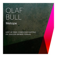 Metope - Olaf Bull