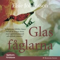 Glasfåglarna - Elsie Johansson