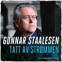 Tatt av strømmen - Gunnar Staalesen