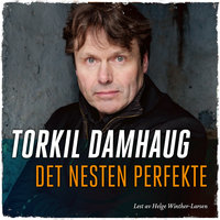 Det nesten perfekte - Torkil Damhaug