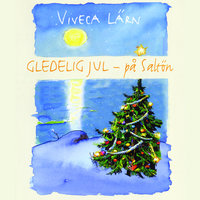 Gledelig jul - på Saltön - Viveca Lärn